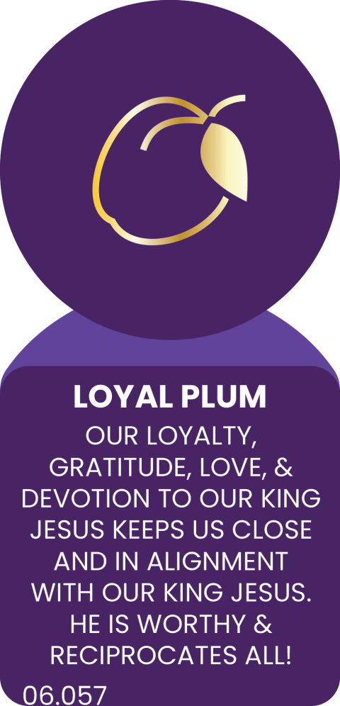 LOYAL PLUM