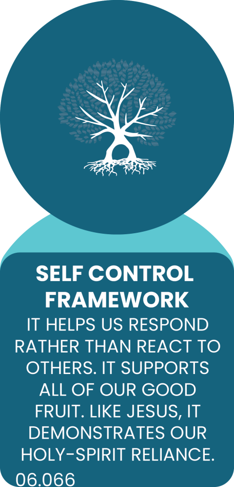 SELF-CONTROL FRAMEWORK