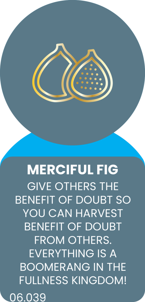 MECIFUL FIG