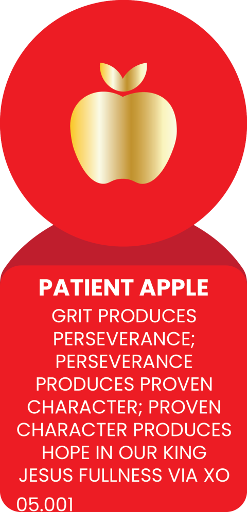 PATIENT APPLE